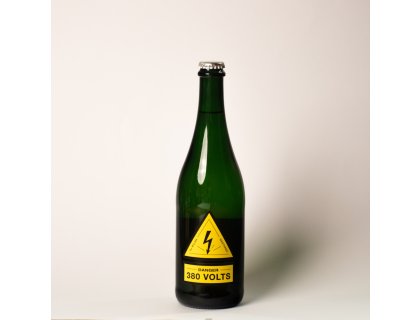 Danger 380 Volts 2022, Nestarec