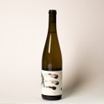 Pálava 2018, Syfany