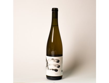 Pálava 2018, Syfany