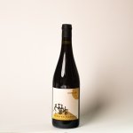 Superglitzer 2023, Rennersistas