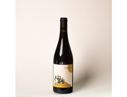 Superglitzer 2023, Rennersistas